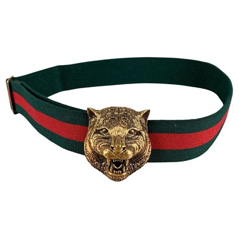 gucci belt feline|gucci dogs for sale.